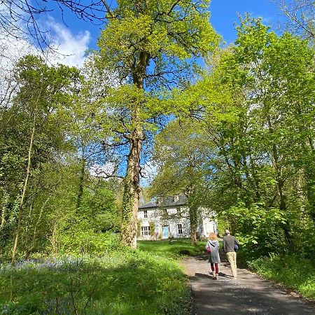 Blackhill Woods Retreat Abbeyleix Buitenkant foto