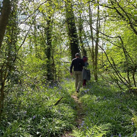 Blackhill Woods Retreat Pension Abbeyleix Buitenkant foto