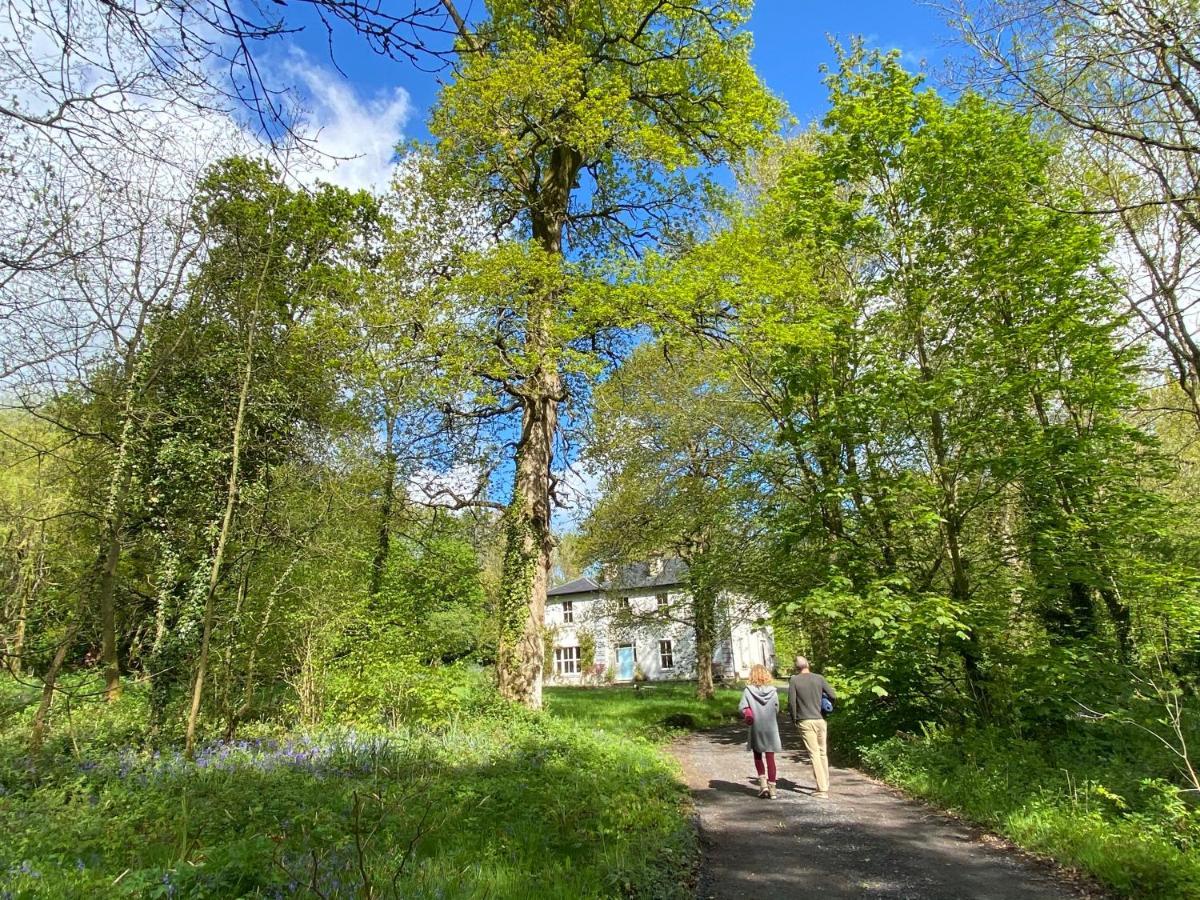 Blackhill Woods Retreat Pension Abbeyleix Buitenkant foto