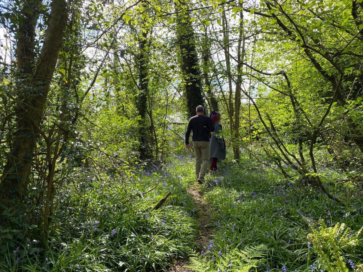 Blackhill Woods Retreat Pension Abbeyleix Buitenkant foto