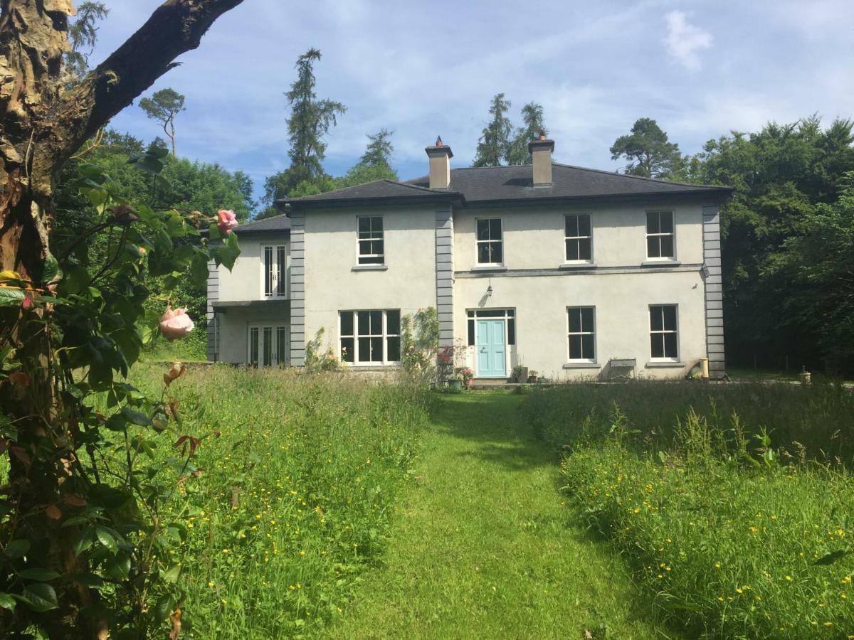 Blackhill Woods Retreat Pension Abbeyleix Buitenkant foto