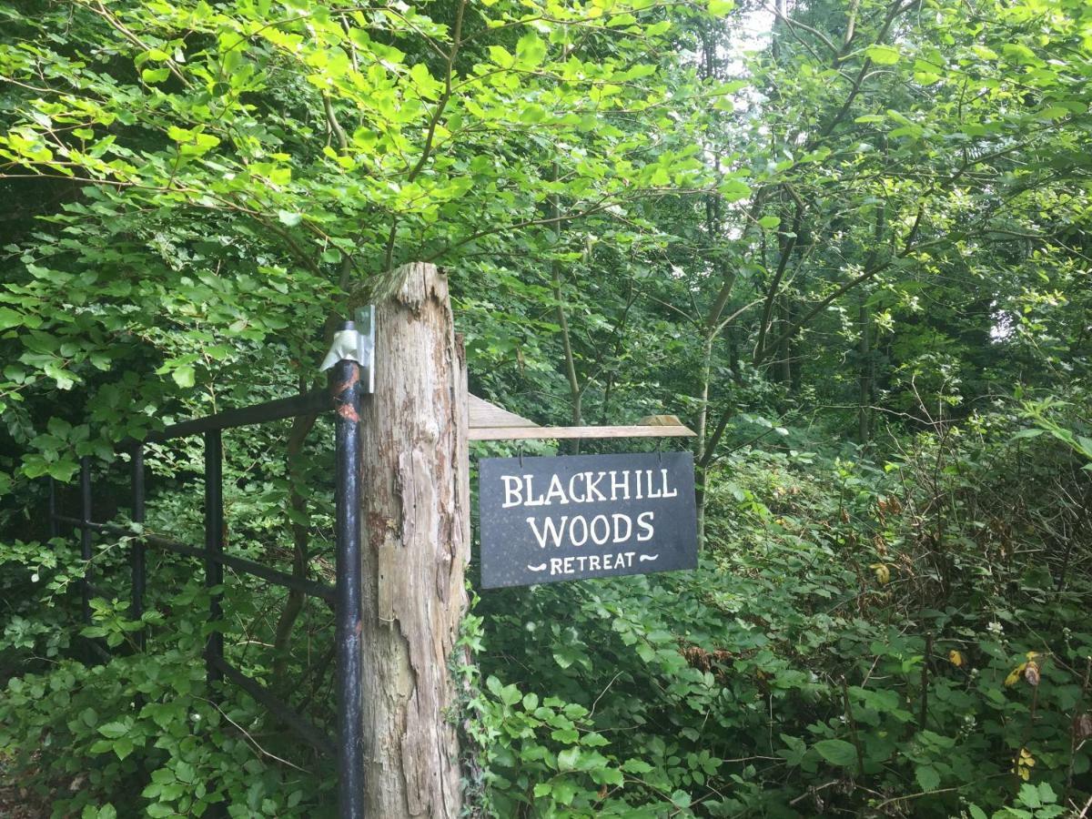 Blackhill Woods Retreat Pension Abbeyleix Buitenkant foto